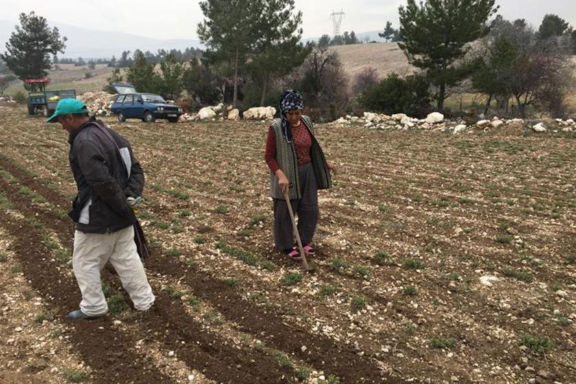 Denizli’nin Uzunpınar Mahallesi’nde üretici köylü 