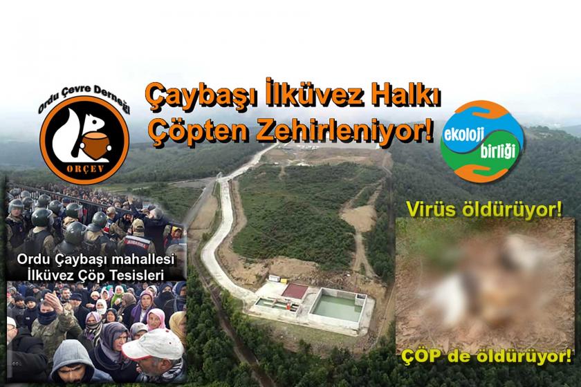 Çaybaşı İlküvez halkı çöpten zehirleniyor