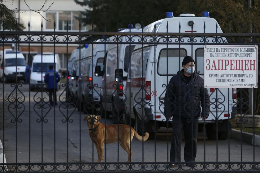 Demir parmaklıklı kapı, köpek (ortada), maskeli bir erkek (sağda) ve arkada sıralı duran ambulanslar