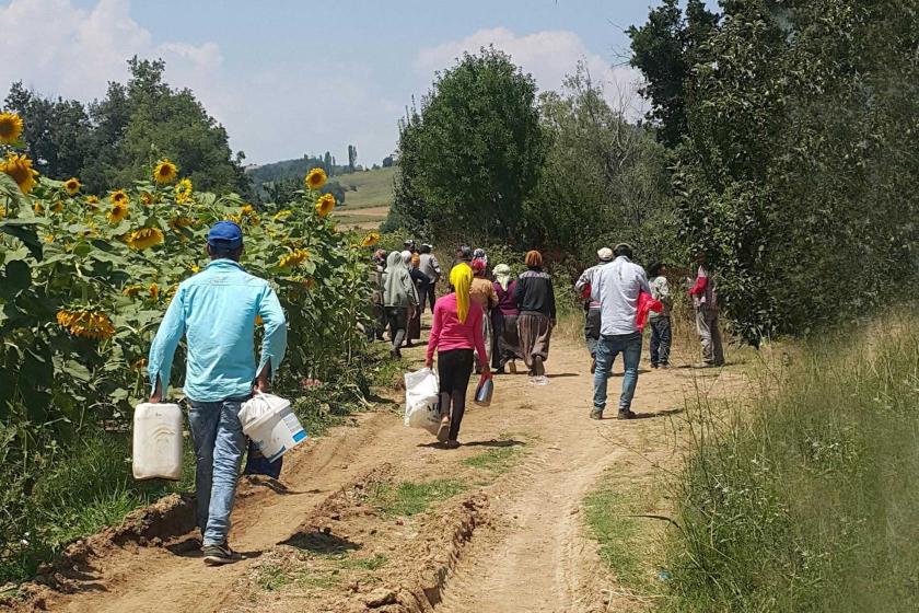 Hindistan’da 12 yaşındaki tarım işçisi çocuk, 150 km uzaklıktaki evine yürürken öldü