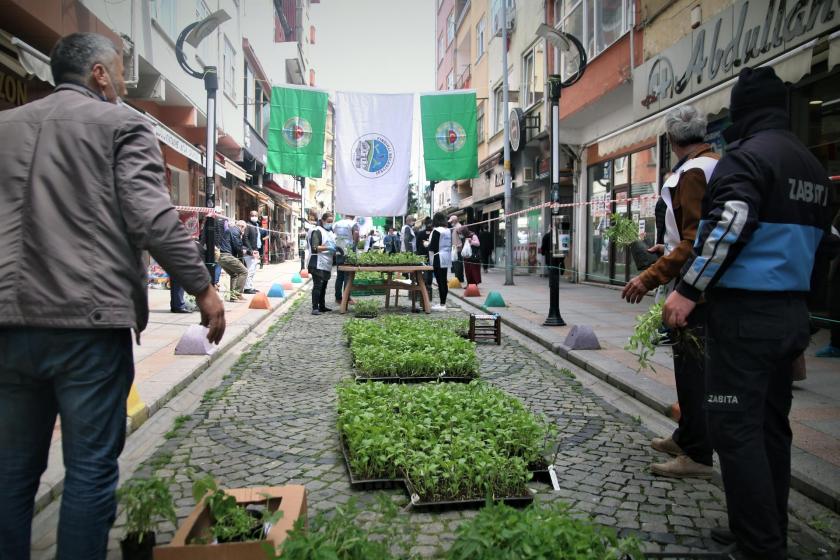 Fındıklı’da belediye ve Ziraat Odası 100 bin fide dağıttı