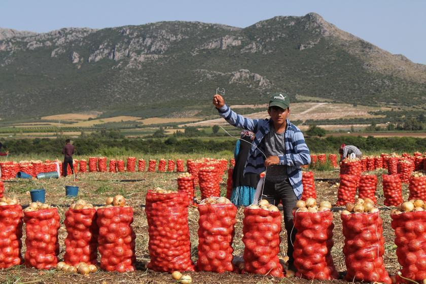 Soğan üreticileri: Tarımda üretim planlı olmalı