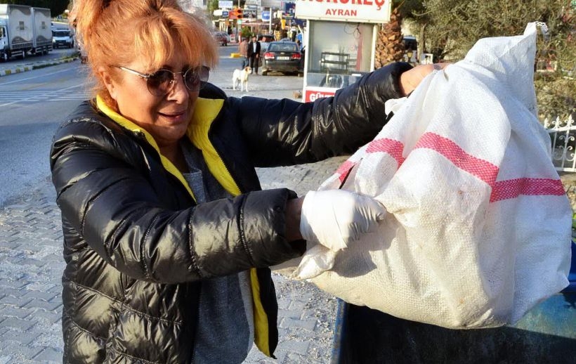 Yavru köpekler çöpe atılarak ölüme terk edildi