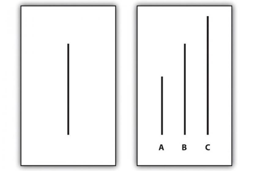 Solomon Eliot Asch Görsel algı hakkında psikoloji deneyinden