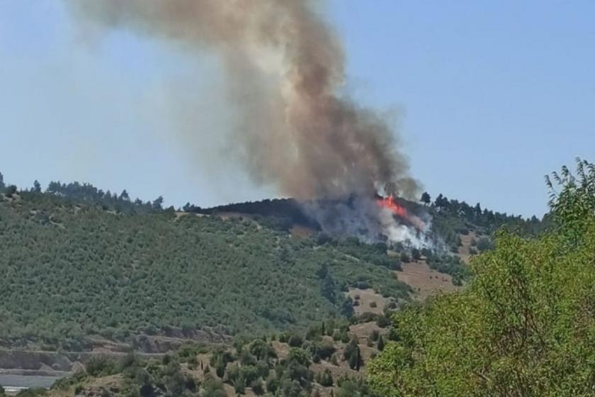 Balıkesir'de orman yangını