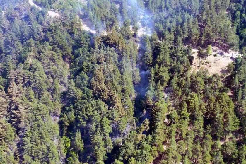 Kahramanmaraş'ta orman yangını