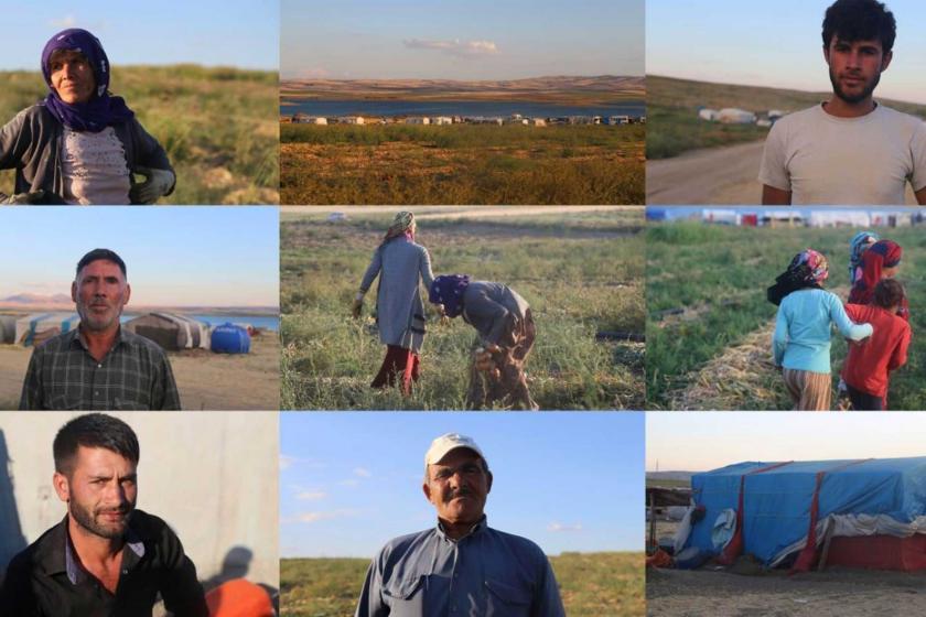 Mevsimlik tarım işçileri acil yasal düzenleme talep ediyor