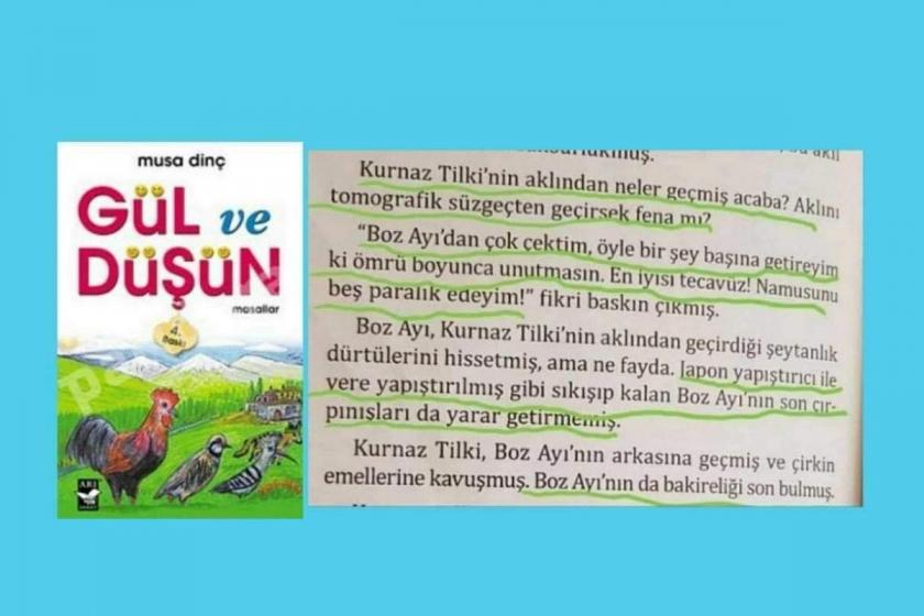 Musa Dinç'in Gül ve Düşün adlı kitabının kapağı ve tecavüzü anlattığı kısmın ekran görüntüsü.