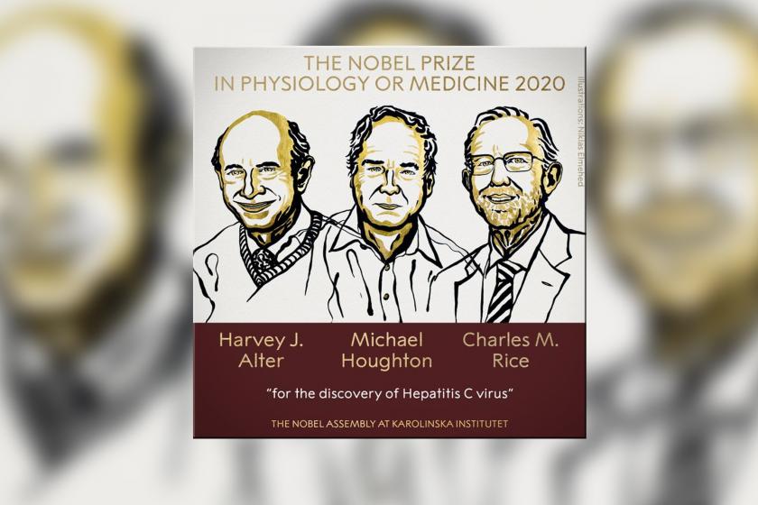 2020 Nobel Tıp Ödülü'nü alan 3 bilim insanı Harvey J. Alter, Michael Houghton ve Charles M. Rice'ın illüstrasyonu.