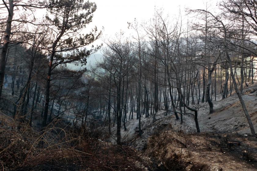 Hatay'da yanan ormanlık alan