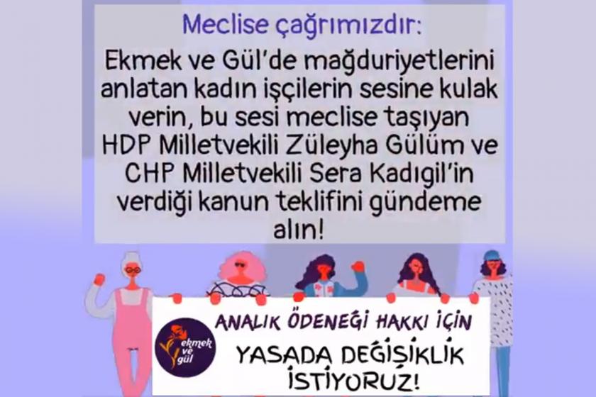 Ekmek ve Gül'ün Analık Ödeneği hakkı kampanyası