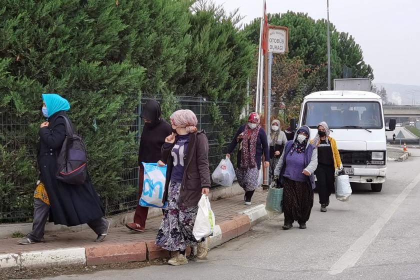 Mevsimlik işçi kadınlar 