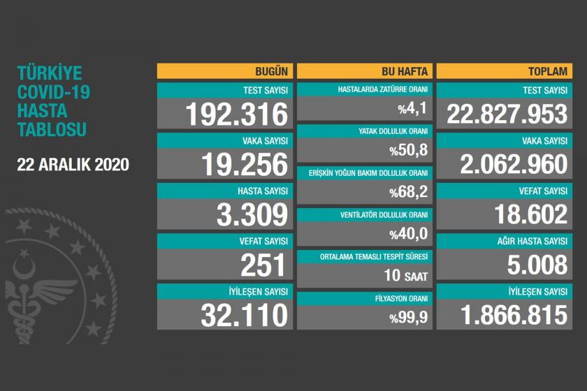 Türkiye'de son 24 saatte 251 kişi Kovid-19 nedeniyle yaşamını yitirdi