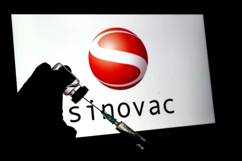 Sinovac şirketinin amblemi ve CoronaVac aşısı