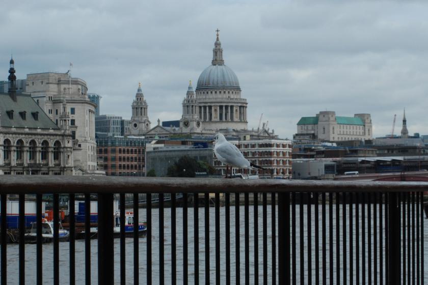 Londra'da bir kuş demirliklere konmuş