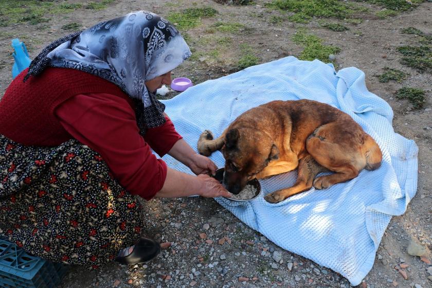 Köpeği besleyen Cemile Nişancı