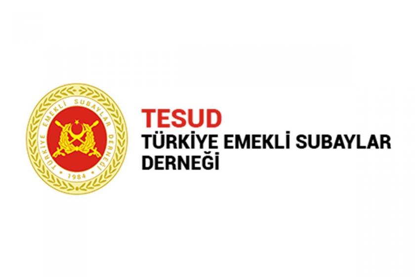 TESUD logosu