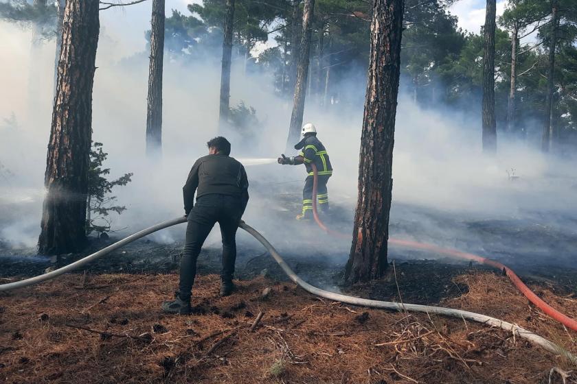 Pozantı'da orman yangınına ilişkin bir kişi gözaltına alındı