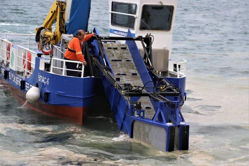 Kartal Belediyesinde yürütülen deniz salyası temizleme çalışması