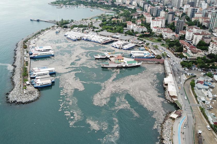 Bostancı sahilini saran deniz salyası havadan görüntülendi