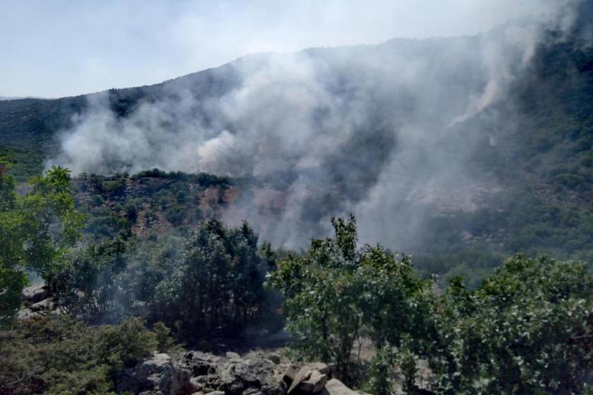 Bölgedeki orman yangınları için araştırma talebi