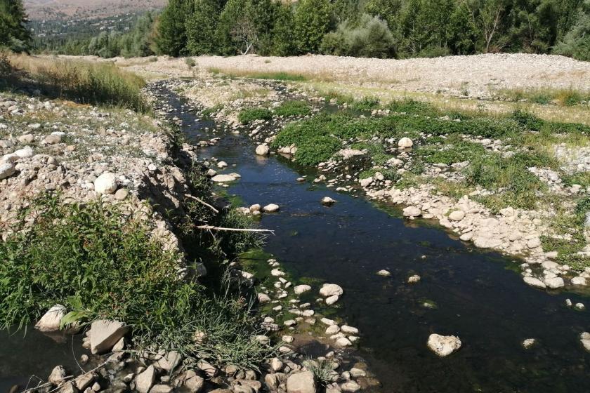 Fariske (Göktepe) çayı kanalizasyon atıkları yüzünden zehir akıyor.