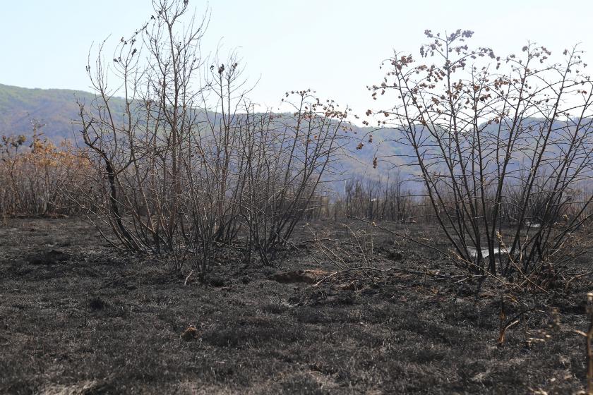 Bingöl'deki orman yangını sonrası tahrip olan alan