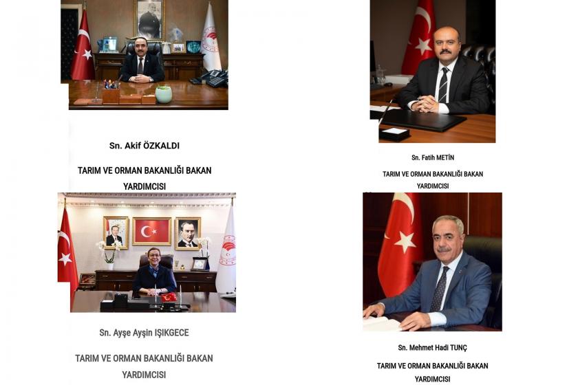 Çift maaş alan AKP'li bakan yardımcıları