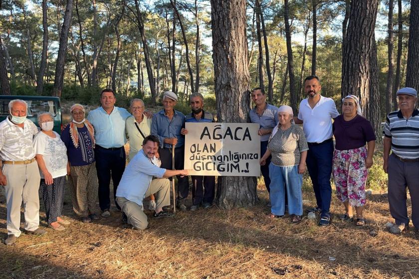 Milas Akbelen ormanında ağaç katliamına karşı direnen köylüler