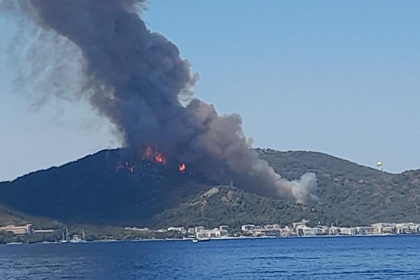 Marmaris'te orman yangınının çıktığı alan.