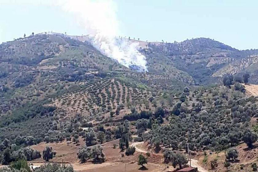 İzmir'de orman yangını