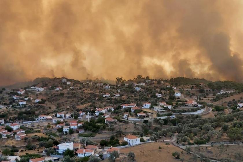 Bodrum Mazı'da yangın