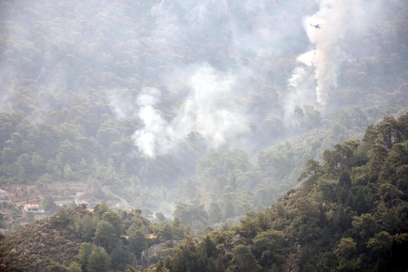 Muğla'da orman yangınına müdahale eden uçak