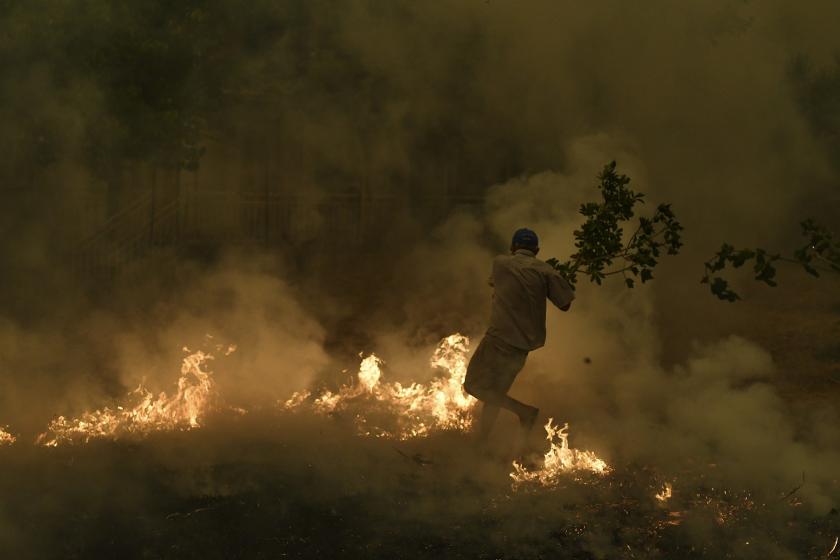 Yunanistan'da süren orman yangınlarından bir fotoğraf.