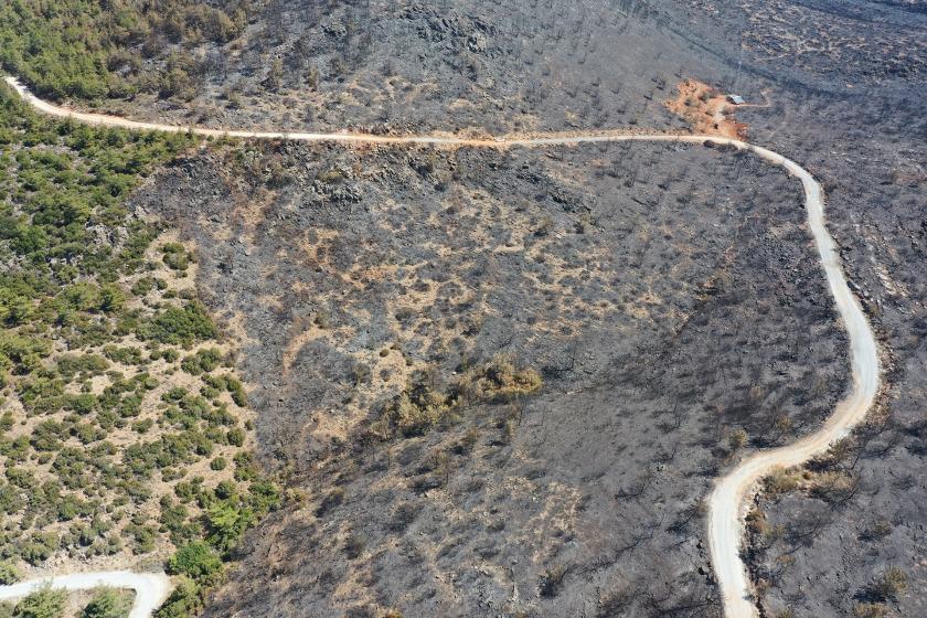 Bodrum ve Milas'taki yangının ardından havadan çekilen fotoğraf.