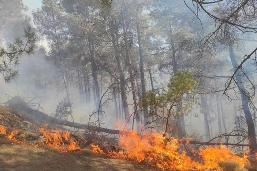 Antalya'nın Kaş ilçesinde orman yangını