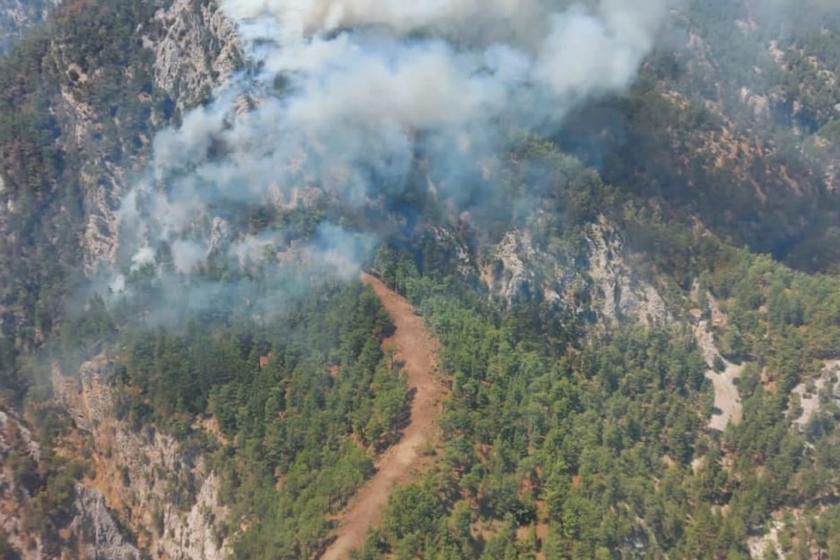 Muğla'nın Köyceğiz ilçesinde çıkan orman yangını