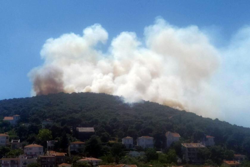 Heybeliada'da orman yangını