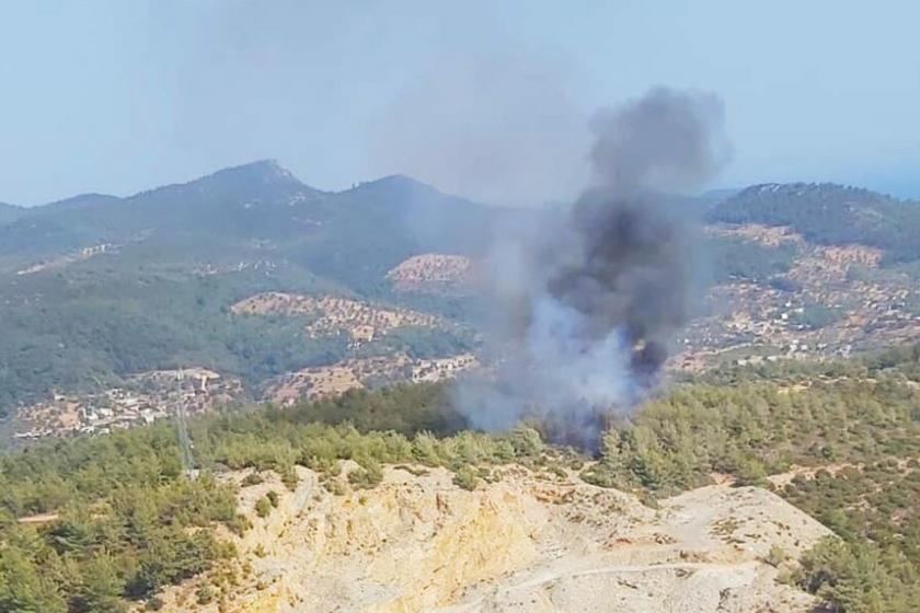 Bodrum'da yangın çıkan ağaçlık alan