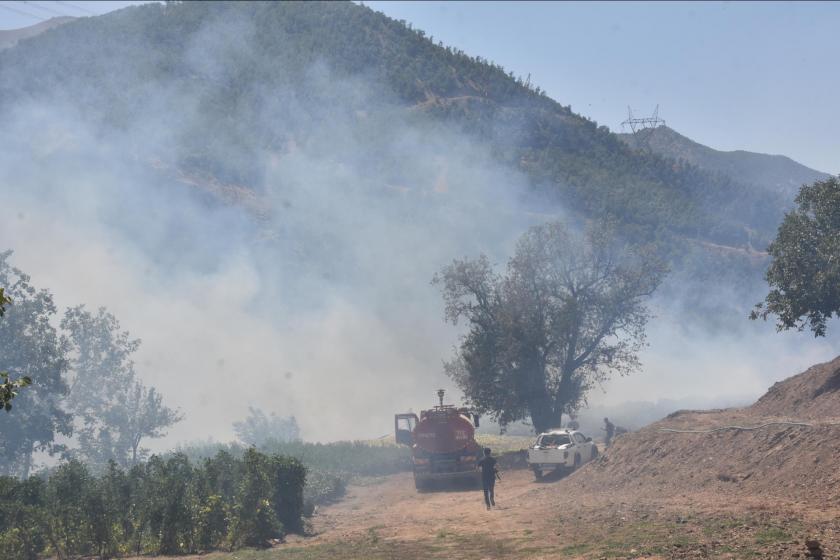 Bitlis'te orman yangını 