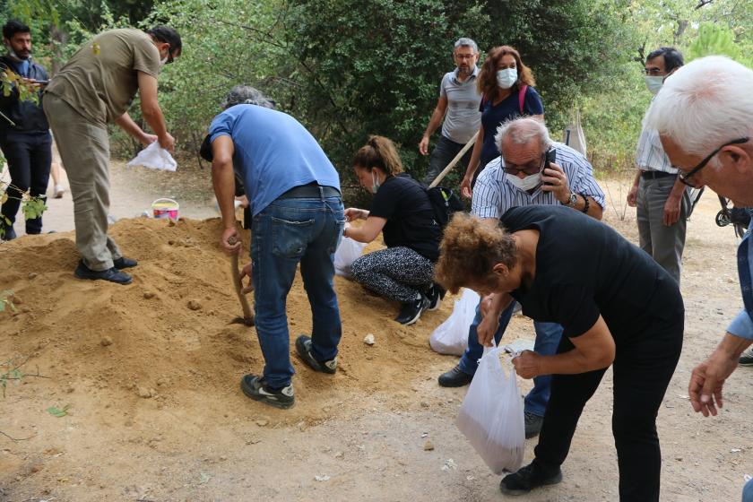 Vatandaşlar belediye tarafından koruya dökülen kumları poşetlere doldurup korunun dışına taşıyor 