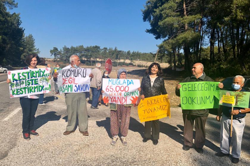 Akbelen Ormanı savunucuları yol kenarında ellerinde dövizlerle bekliyor