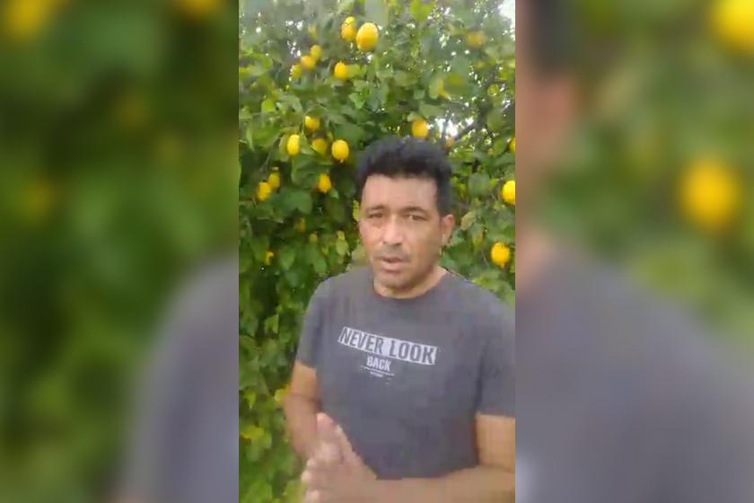 limon üreticisi limon ağaçlarının önünde