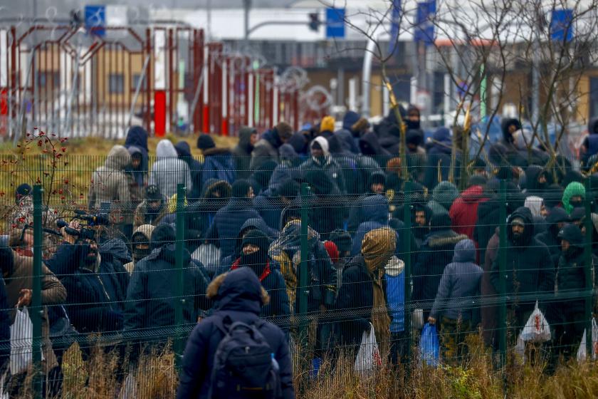 Fotoğraflarla Belarus-Polonya sınırındaki mülteciler