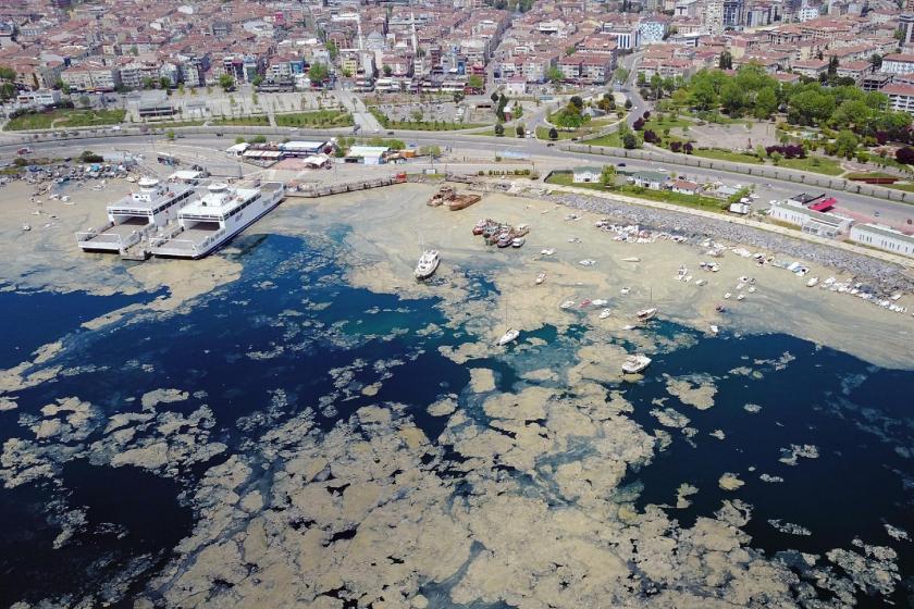 denizdeki müsilajın havadan görünümü