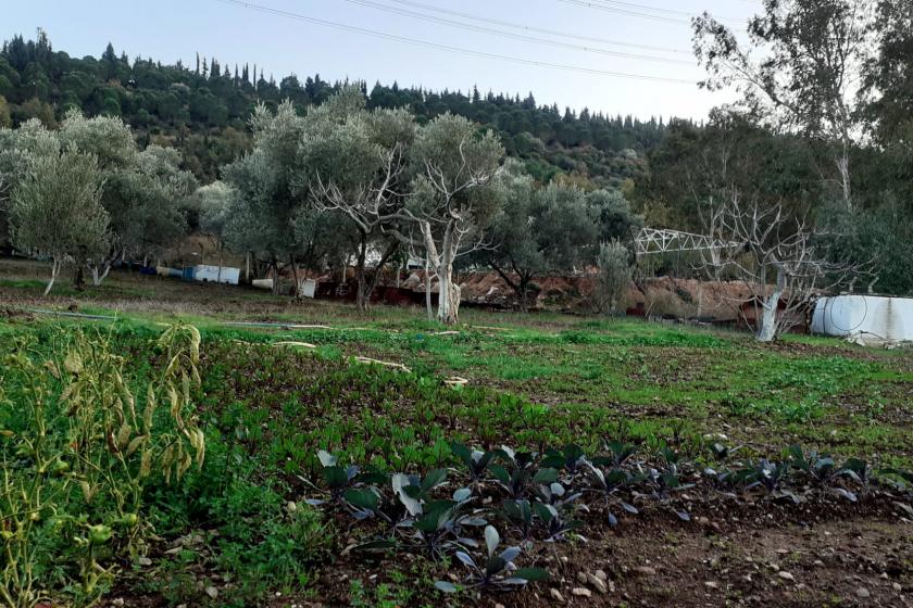 Üreticiler şehirlere göç ediyor, böyle giderse tarım bitecek