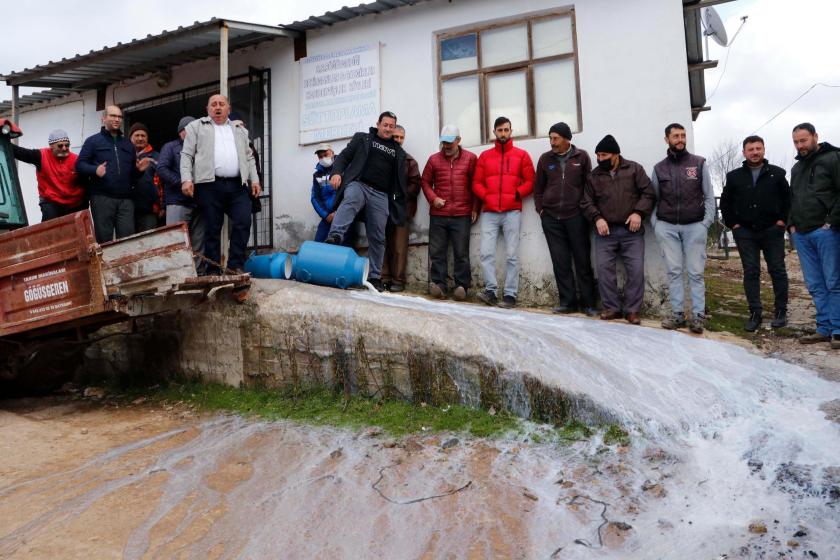 Çanakkale'de üreticiler düşük fiyat veren mandıracılara kızıp sütleri döktü