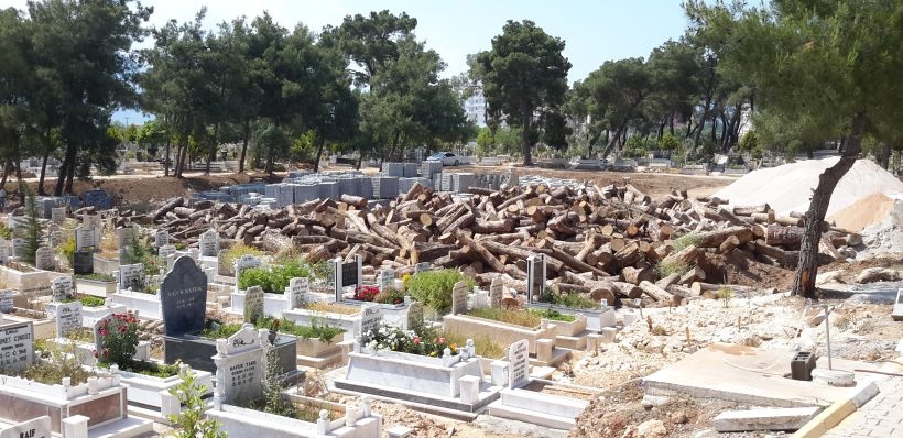 Yol için mezarlık tahrip edildi, ağaç kesildi