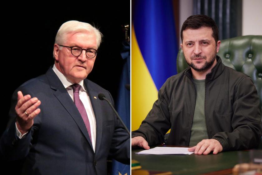 Frank Walter Steinmeier ve Volodimir Zelenskiy