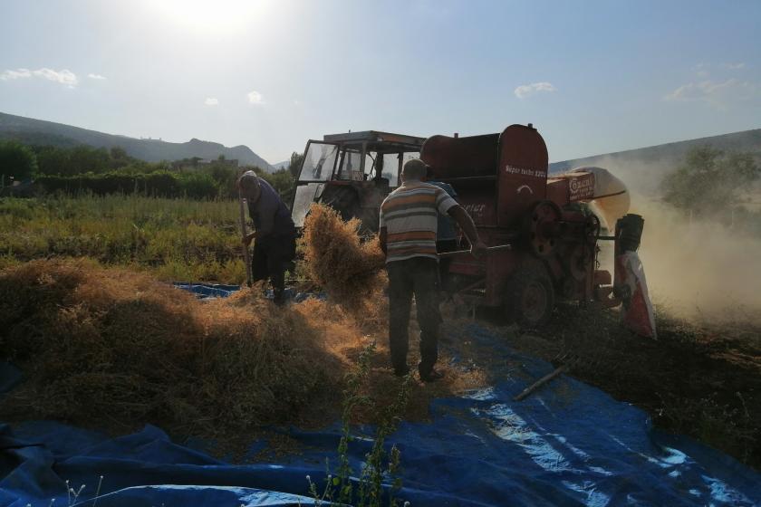 Diyarbakırlı üreticiler: Zamlardan dolayı başımızı kaldıramıyoruz